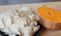 蘑菇爆料官方网吃瓜,揭秘娱乐圈最新吃瓜大事件