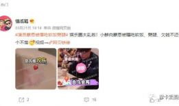 全家吃瓜真假千金爆料,全家吃瓜，揭秘豪门背后的惊天秘密